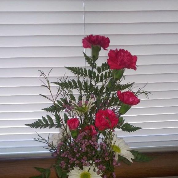 Meet your Posher, Julianne - Picture 1 of 1